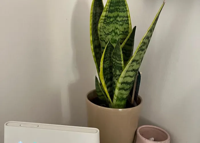 Cavour Lejlighed Ventimiglia