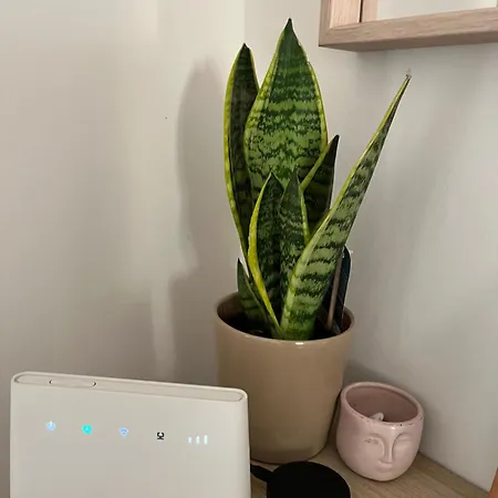 Cavour Апартаменты Вентимилья